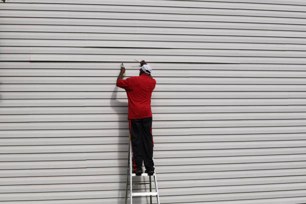 Best Insulated Siding Installation  in Greentown, IN